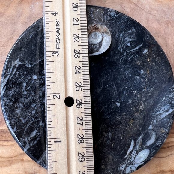 Genuine Orthoceras Fossil - Fossil Oval Ammonite Trinket dish from Morocco - Picture 4 of 11